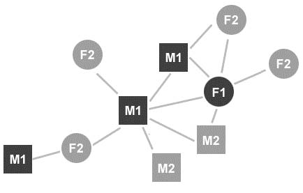 Node-and-Link Diagram