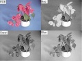Thumbnail for version as of 08:35, 25 October 2005